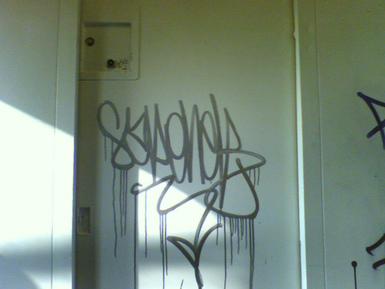 SAPO: SAPONER